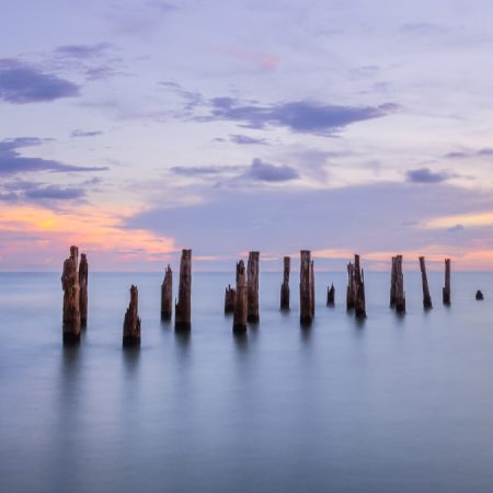 Pelican on Pilings Naples Florida Photo